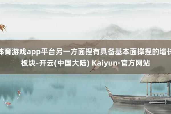 体育游戏app平台另一方面捏有具备基本面撑捏的增长板块-开云(中国大陆) Kaiyun·官方网站