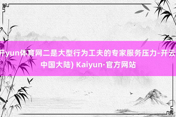 开yun体育网二是大型行为工夫的专家服务压力-开云(中国大陆) Kaiyun·官方网站