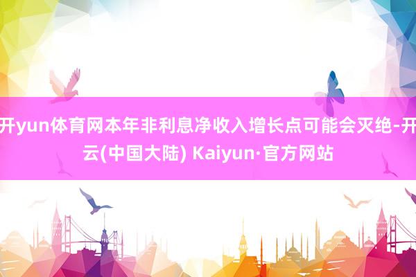 开yun体育网本年非利息净收入增长点可能会灭绝-开云(中国大陆) Kaiyun·官方网站